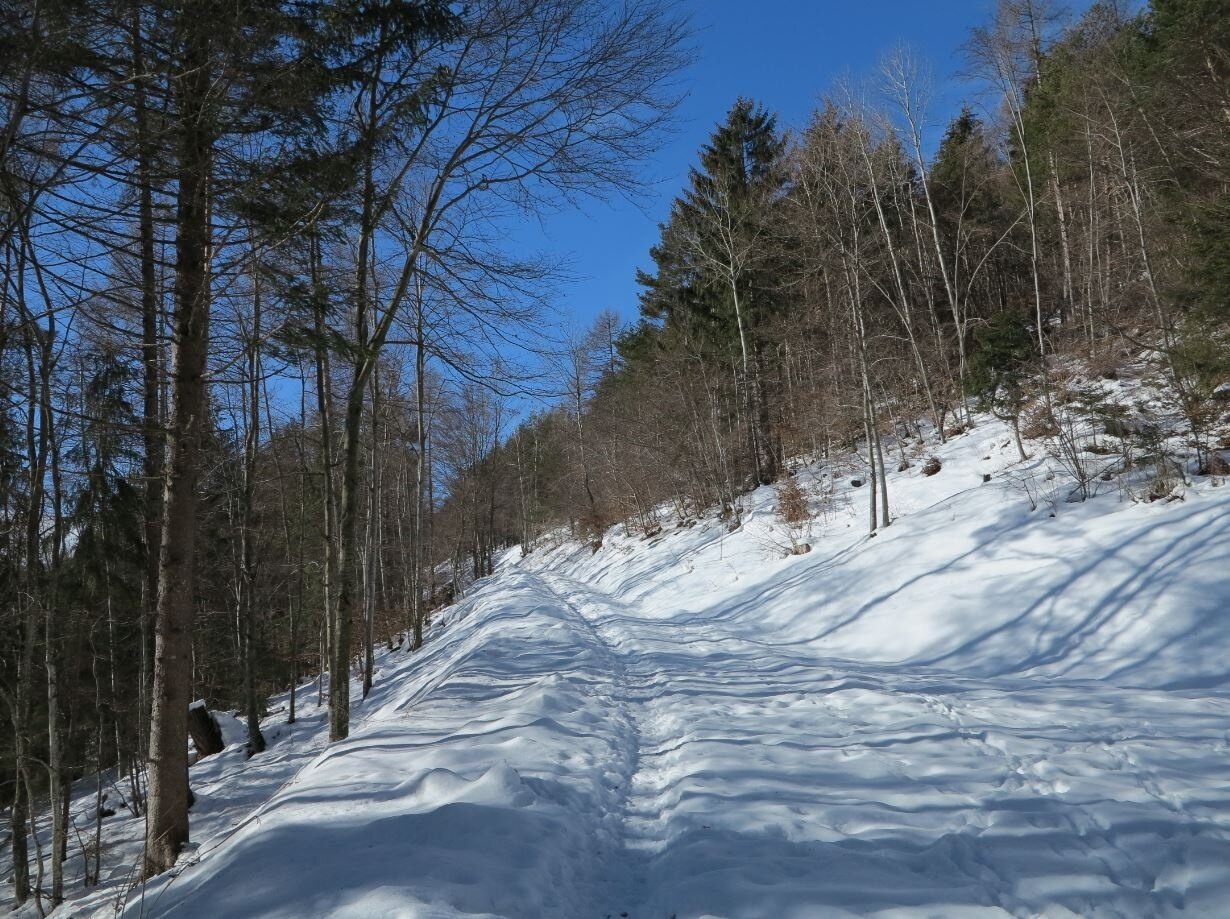 Img2 56621904 Default Variant