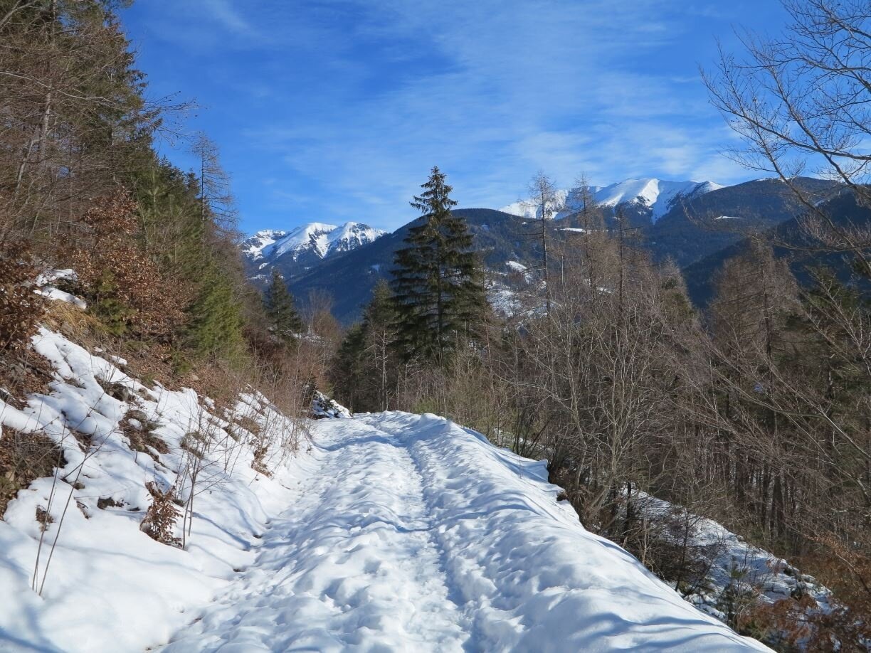 Img2 56621905 Default Variant