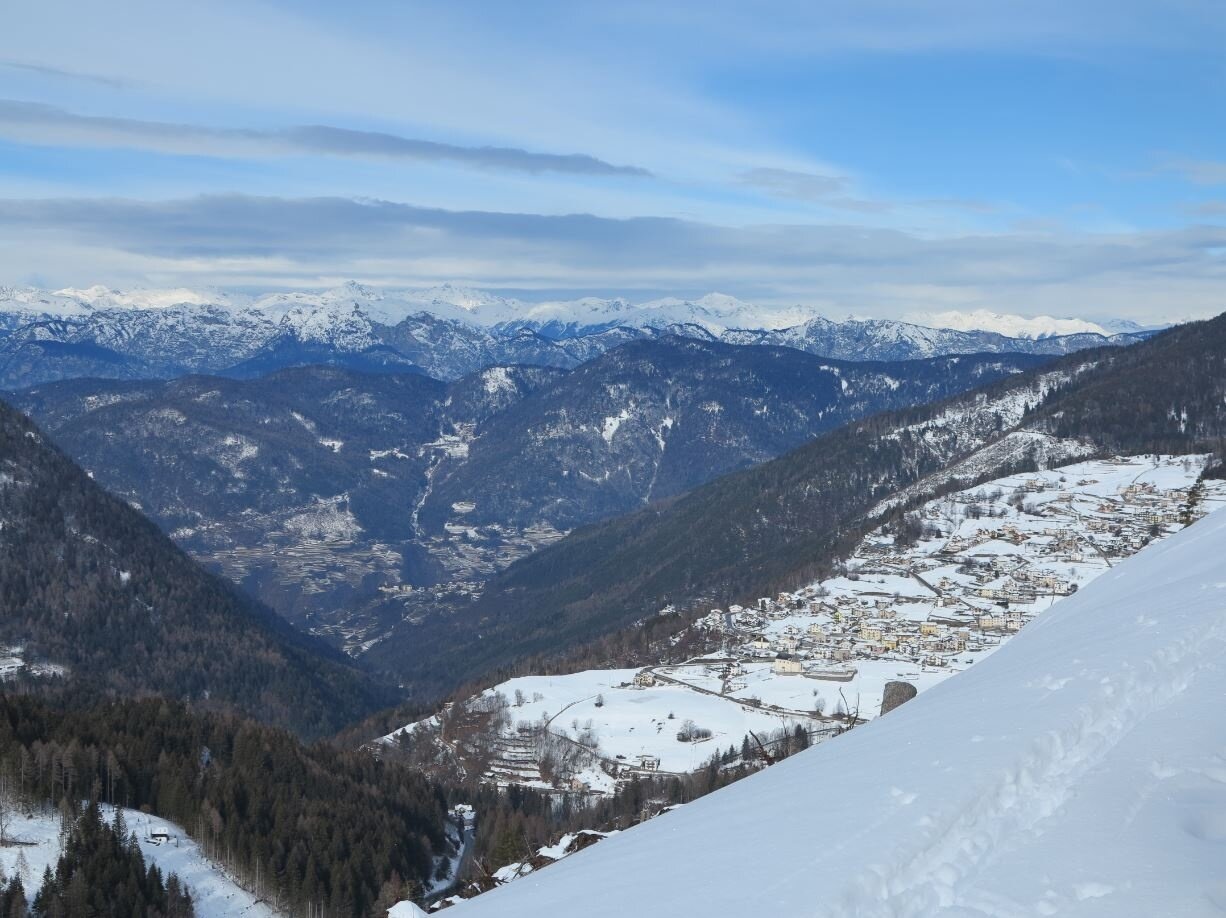 Img2 56418641 Default Variant