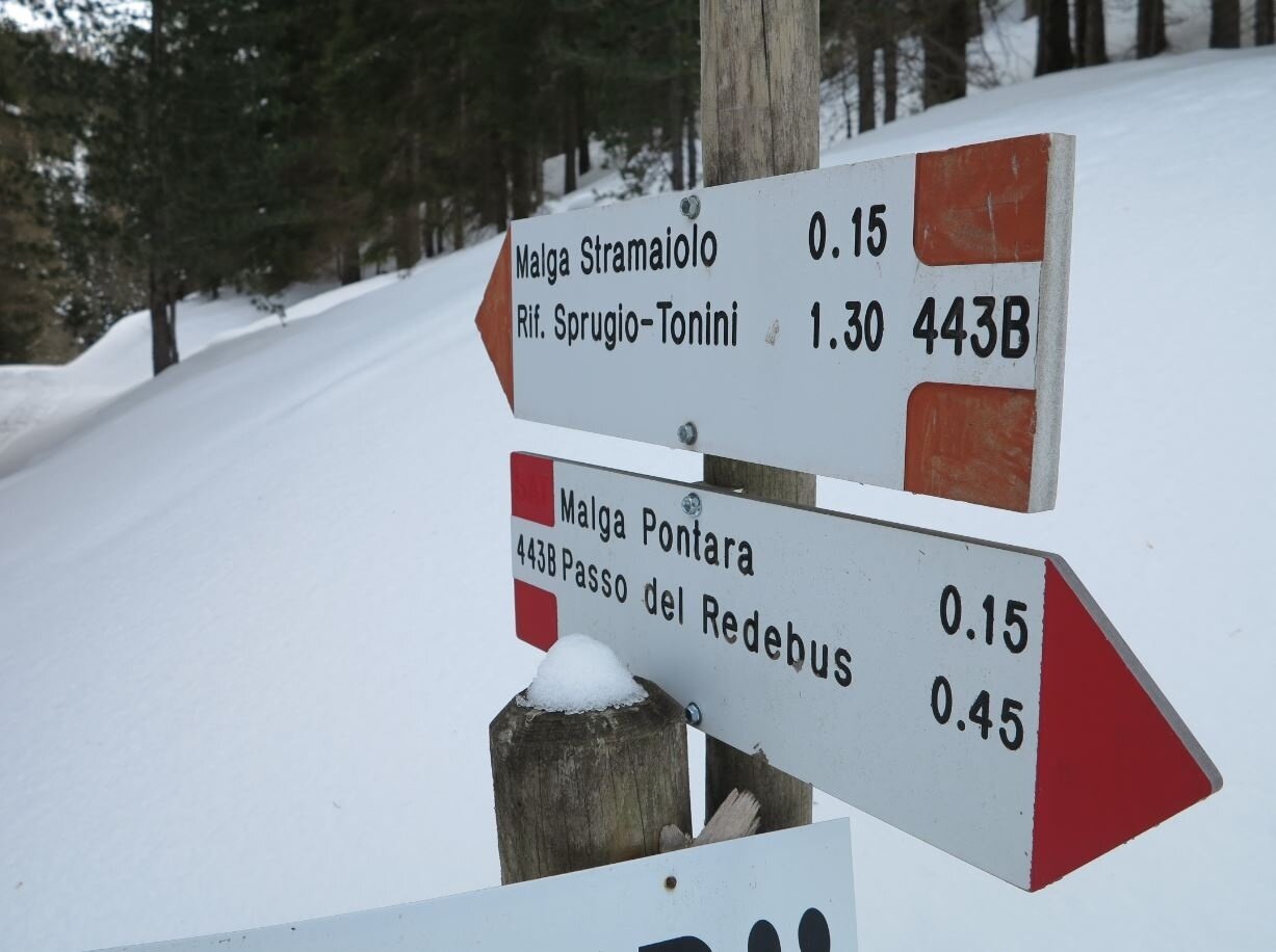 Img2 56418642 Default Variant