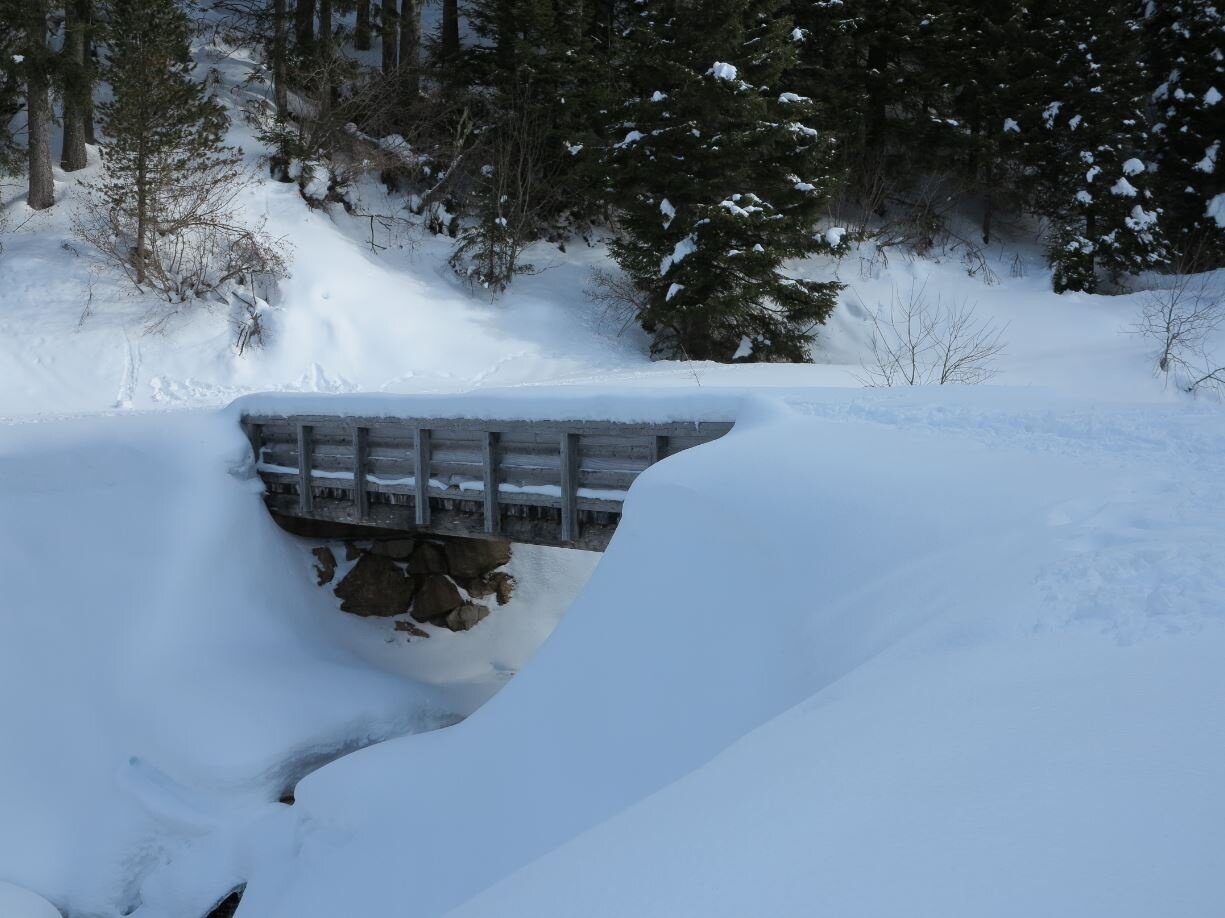 Img2 56418643 Default Variant