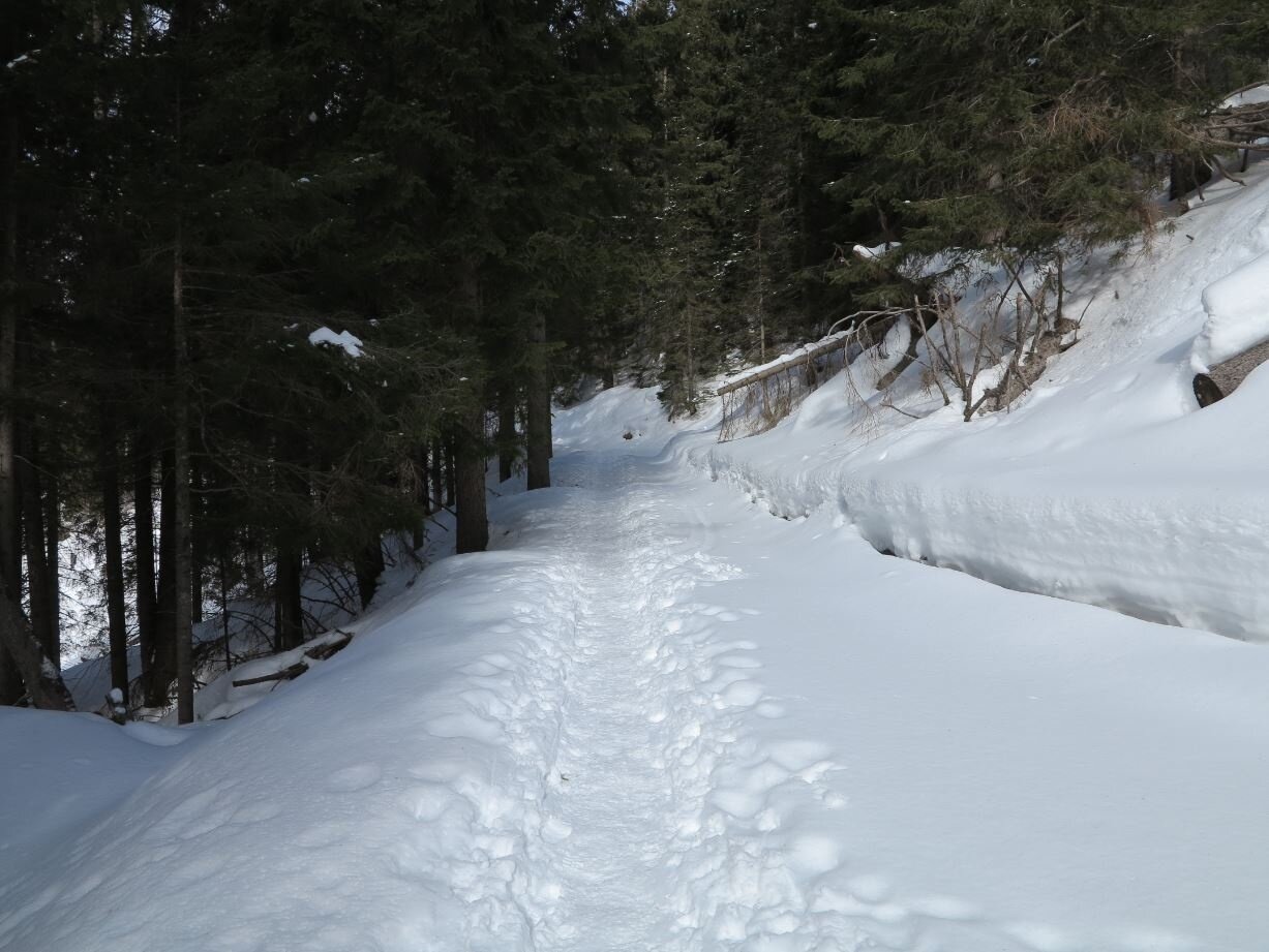 Img2 56418648 Default Variant