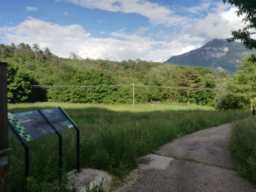 Img2 619867655 Default Variant