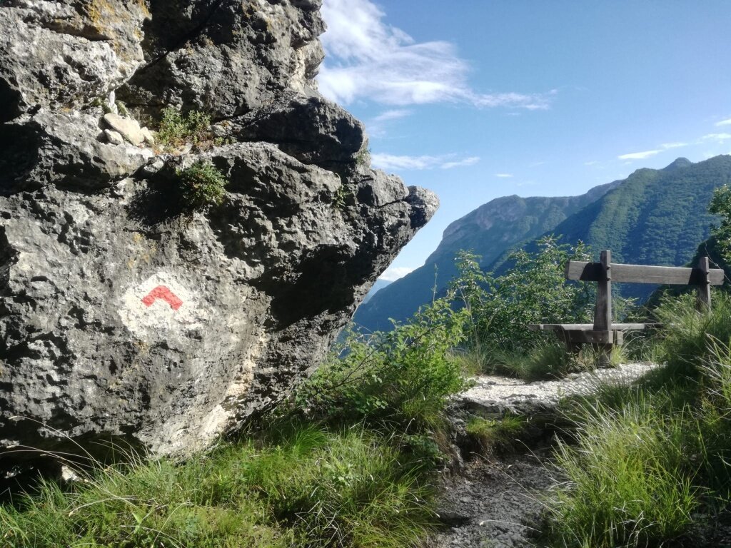 Img2 619867660 Default Variant