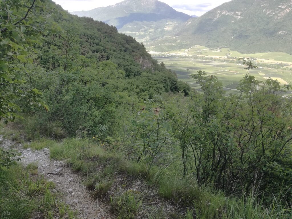 Img2 619867661 Default Variant