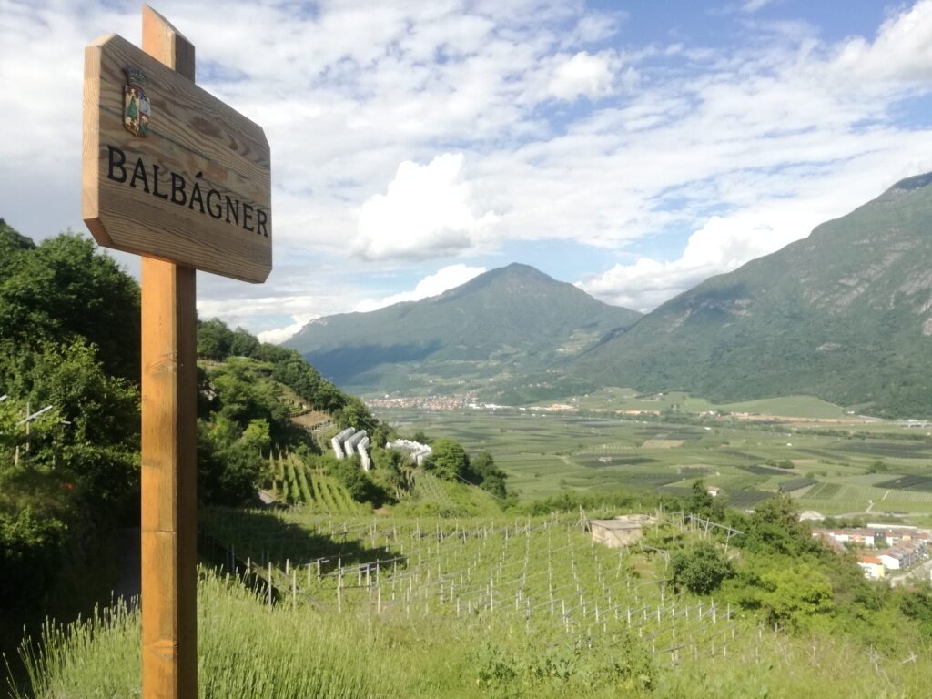 Img2 619867667 Default Variant