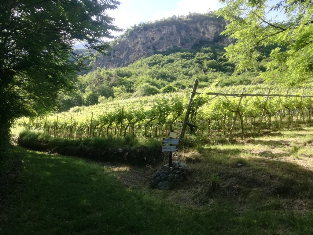 Img2 619867699 Default Variant