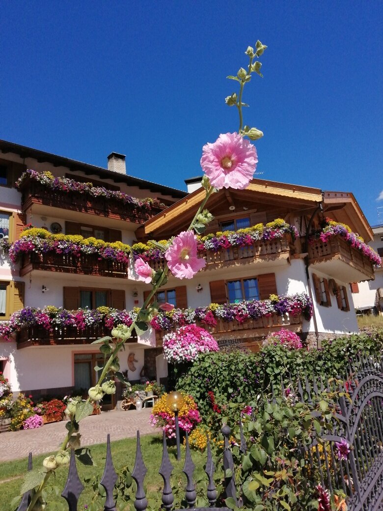 Img2 95933371 Default Variant