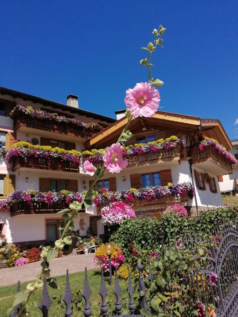 Img2 95933371 Default Variant