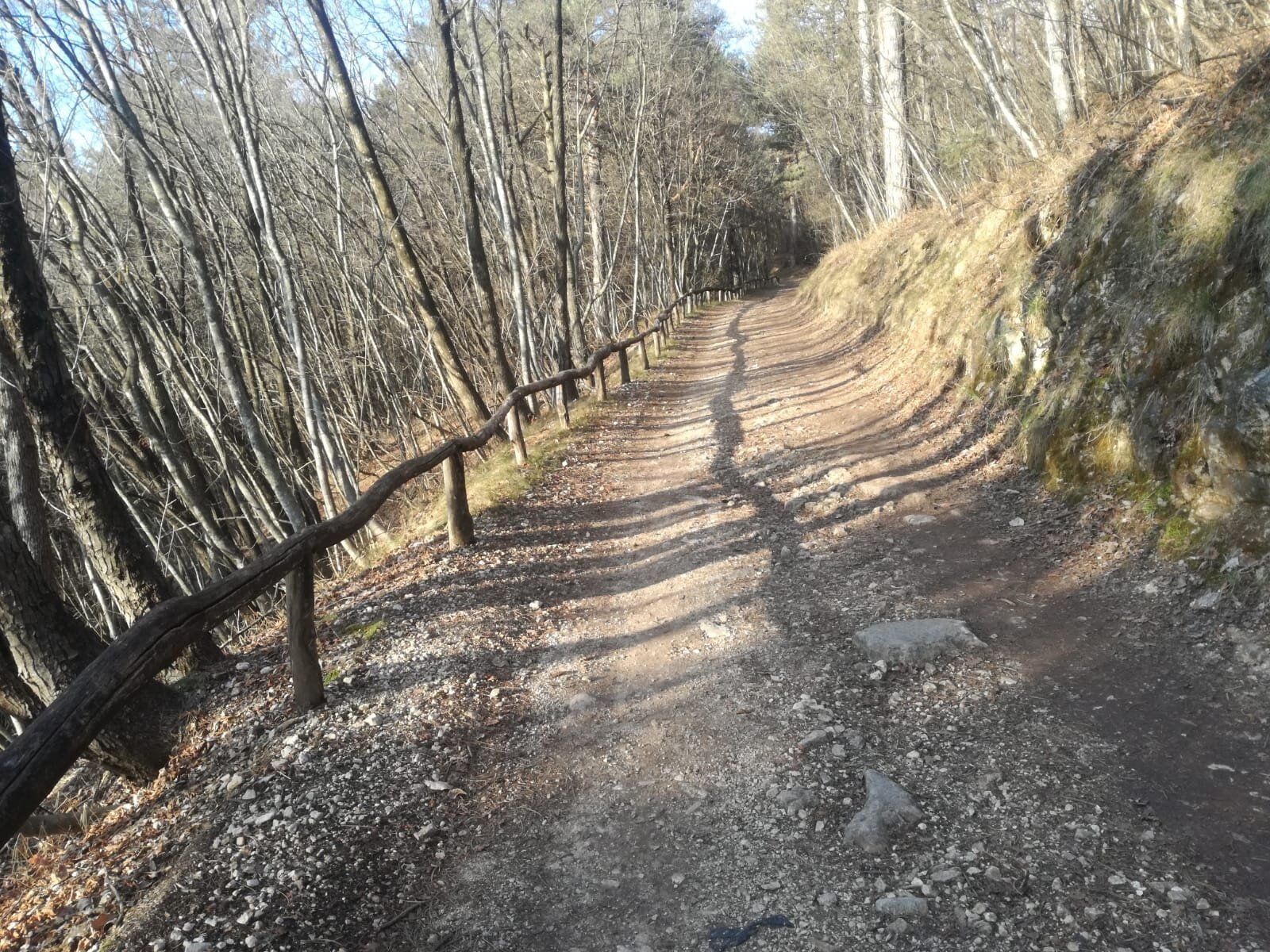 Img2 610436339 Default Variant