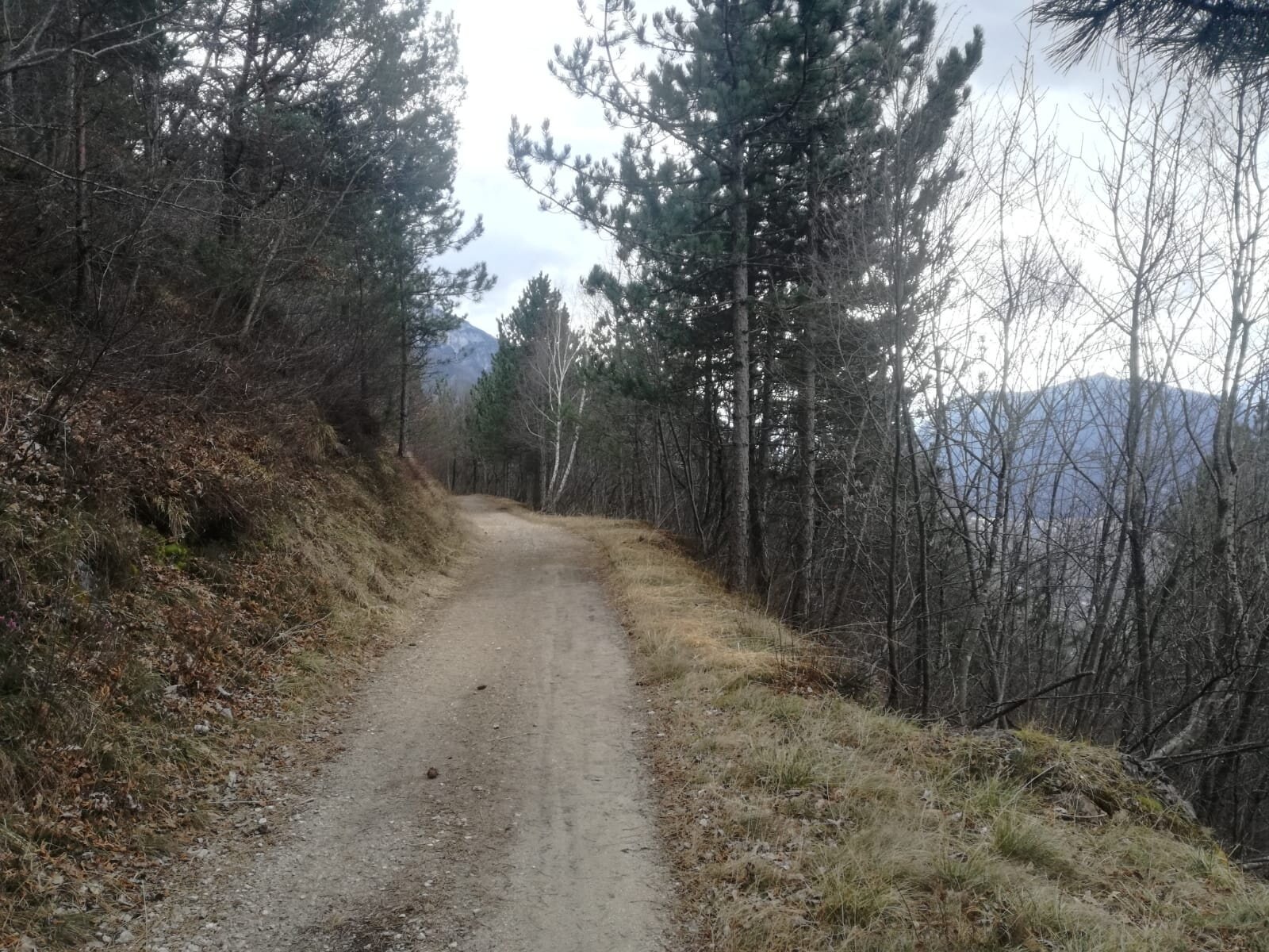 Img2 610436341 Default Variant