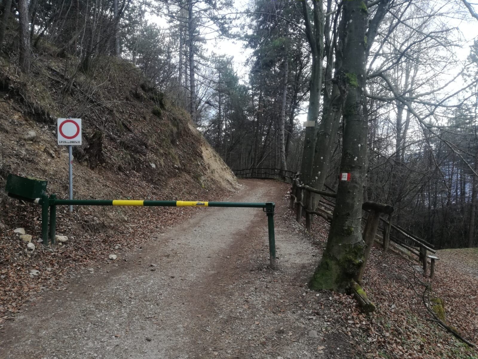 Img2 610436342 Default Variant