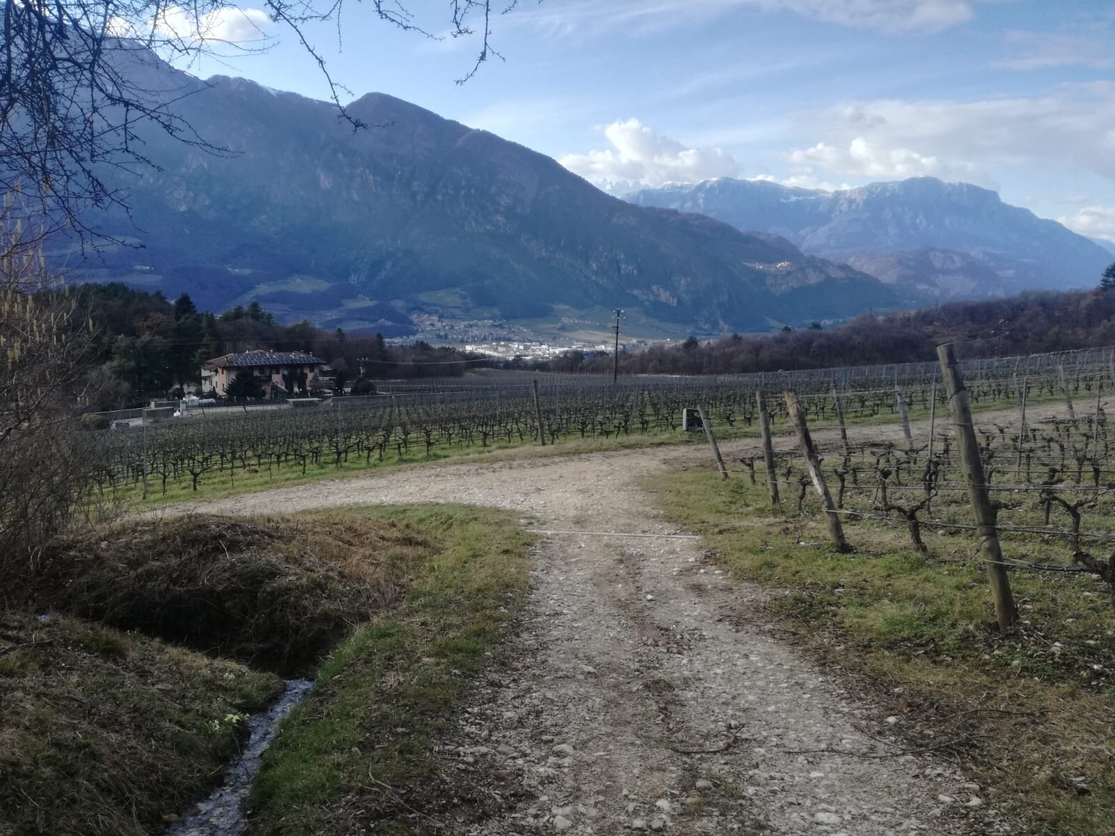 Img2 610436343 Default Variant