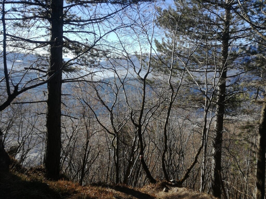 Img2 93816866 Default Variant