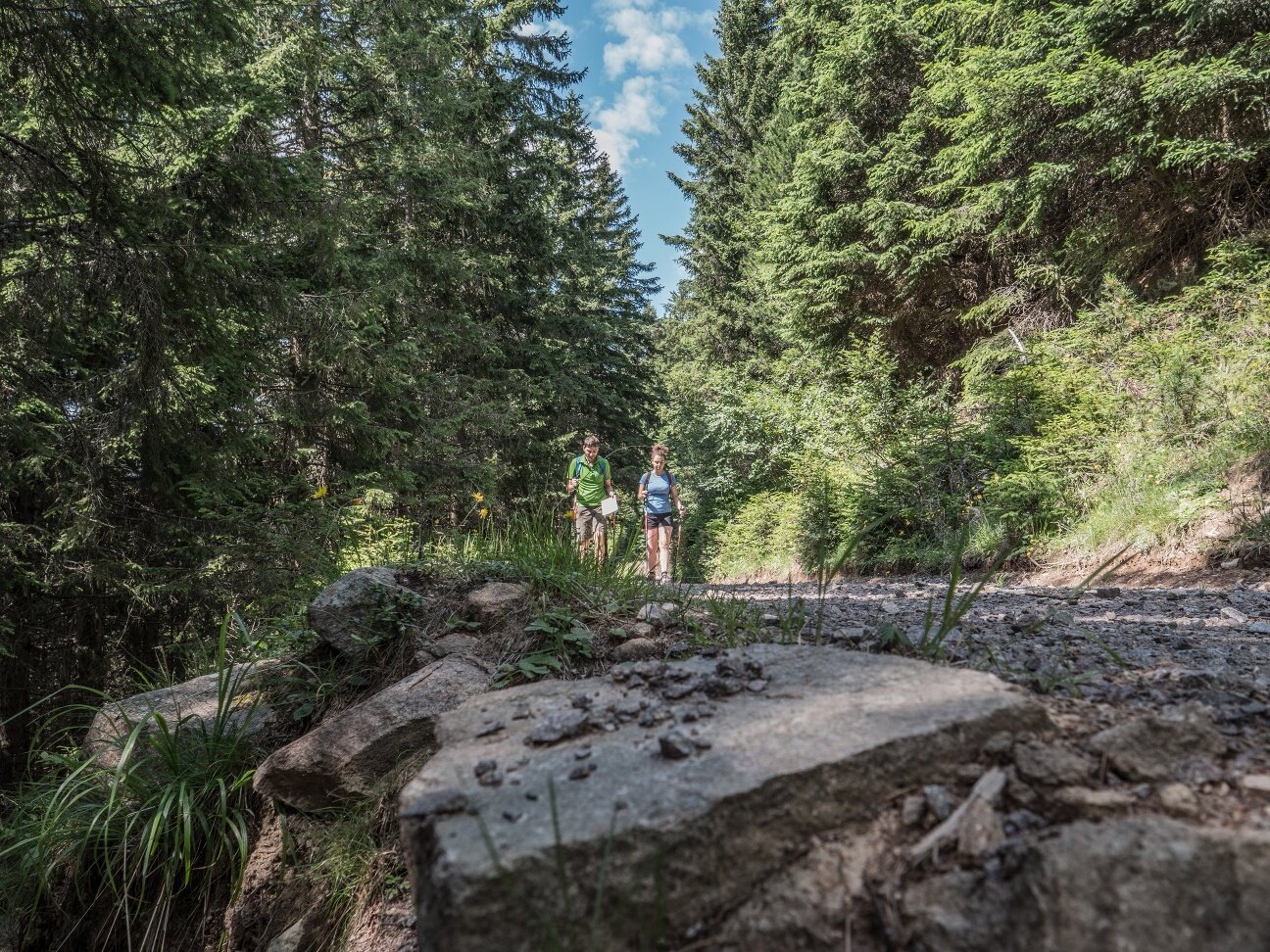 Img2 70640548 Default Variant