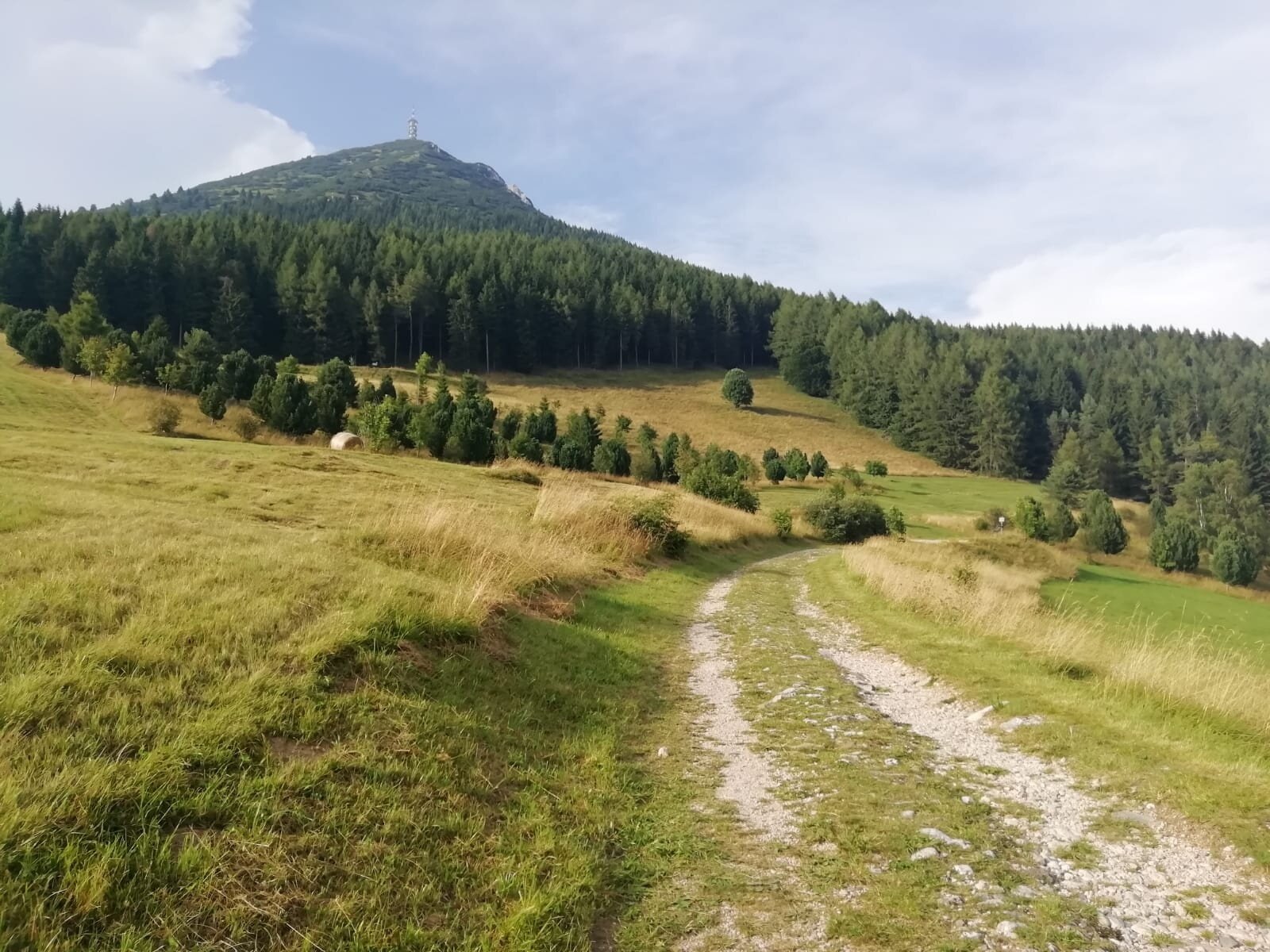 Img2 602238541 Default Variant