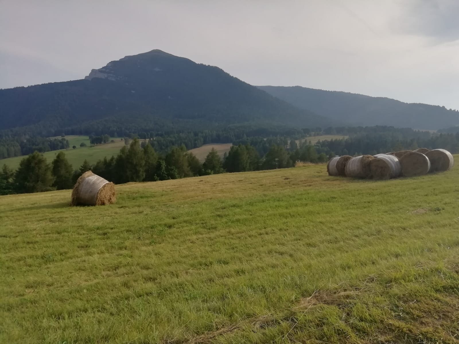 Img2 602238533 Default Variant