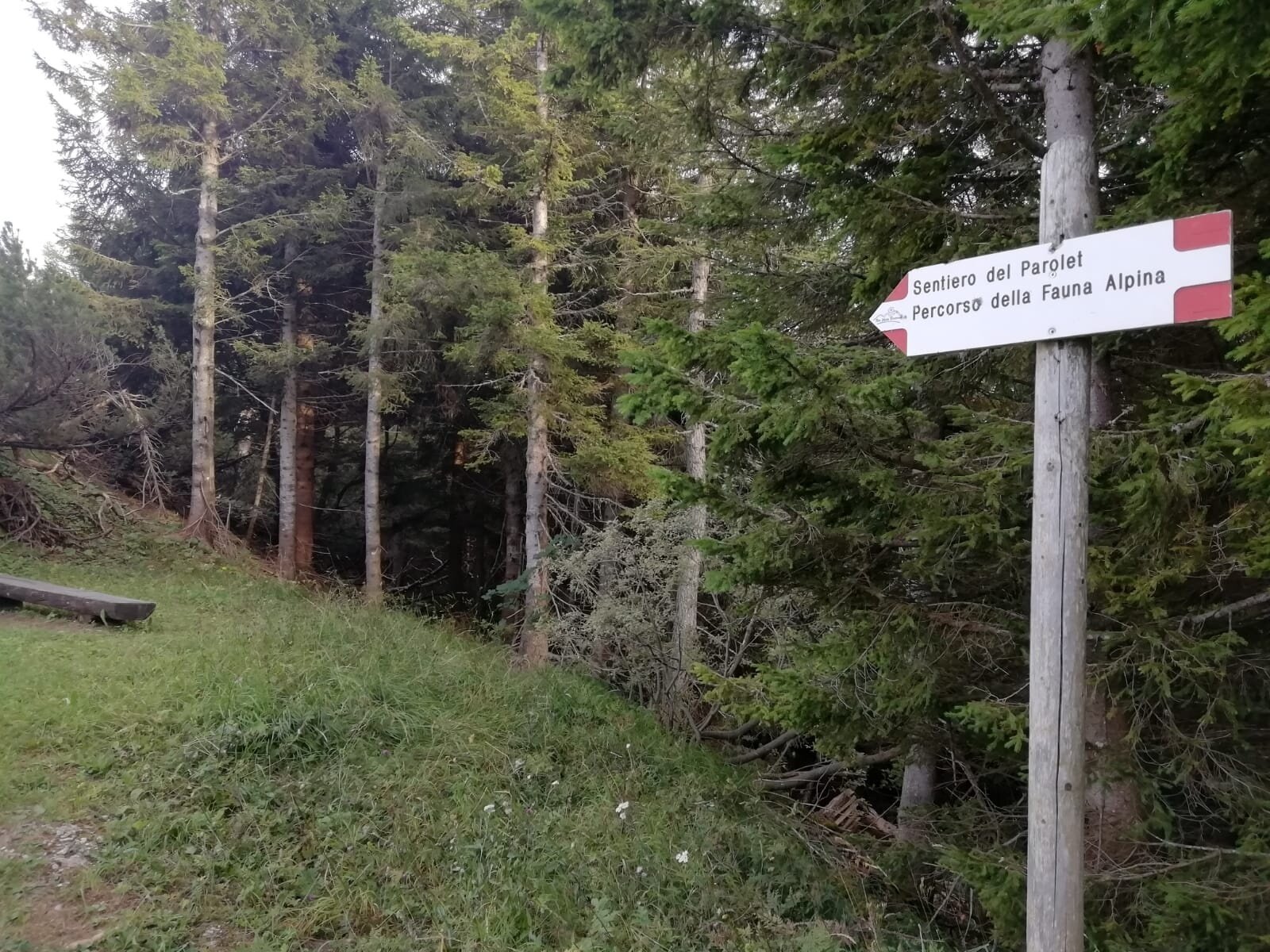 Img2 602238529 Default Variant