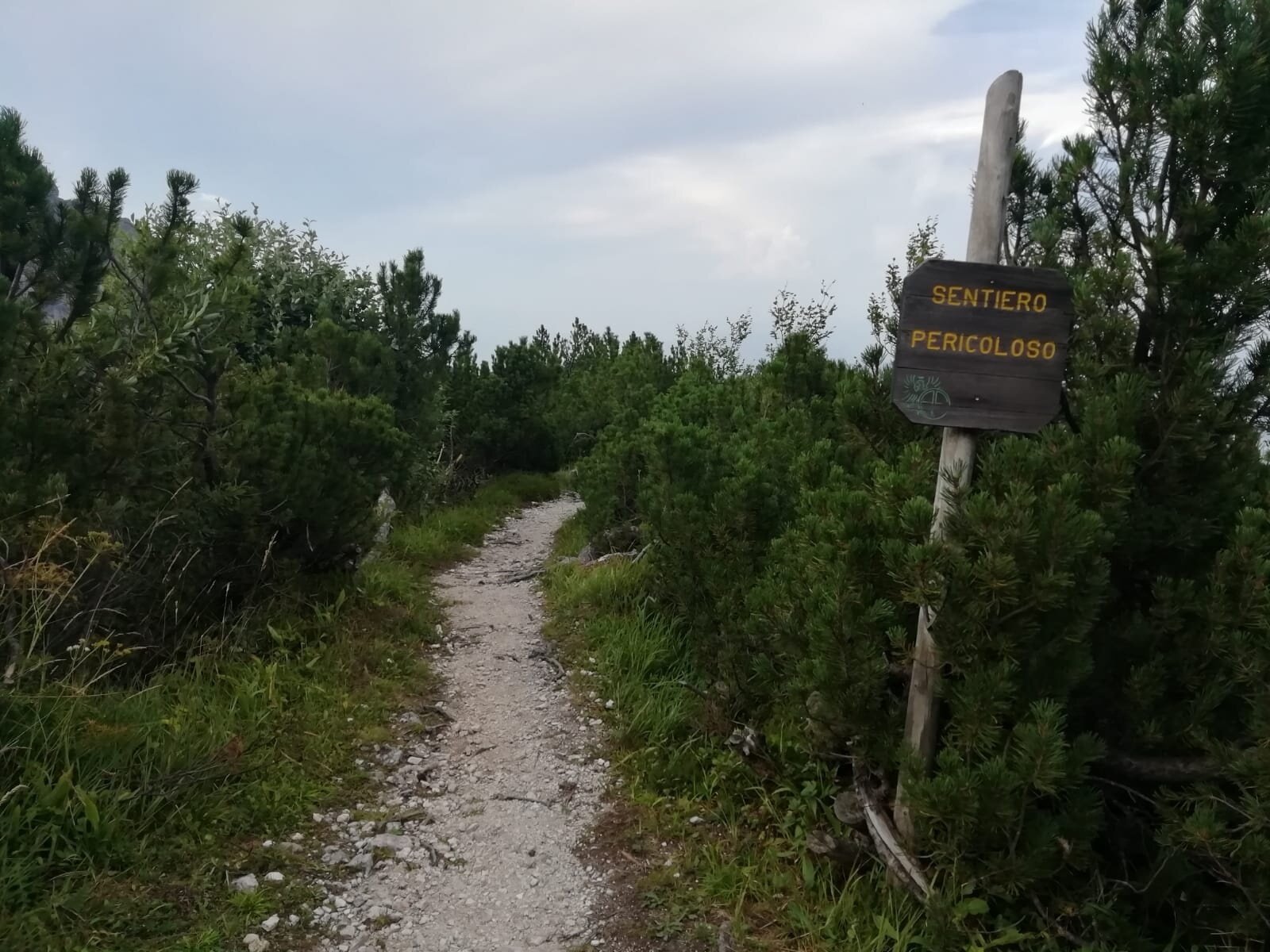 Img2 602238469 Default Variant