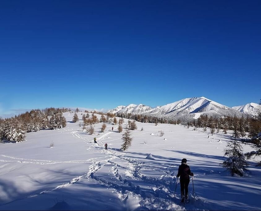 Img2 65033091 Default Variant