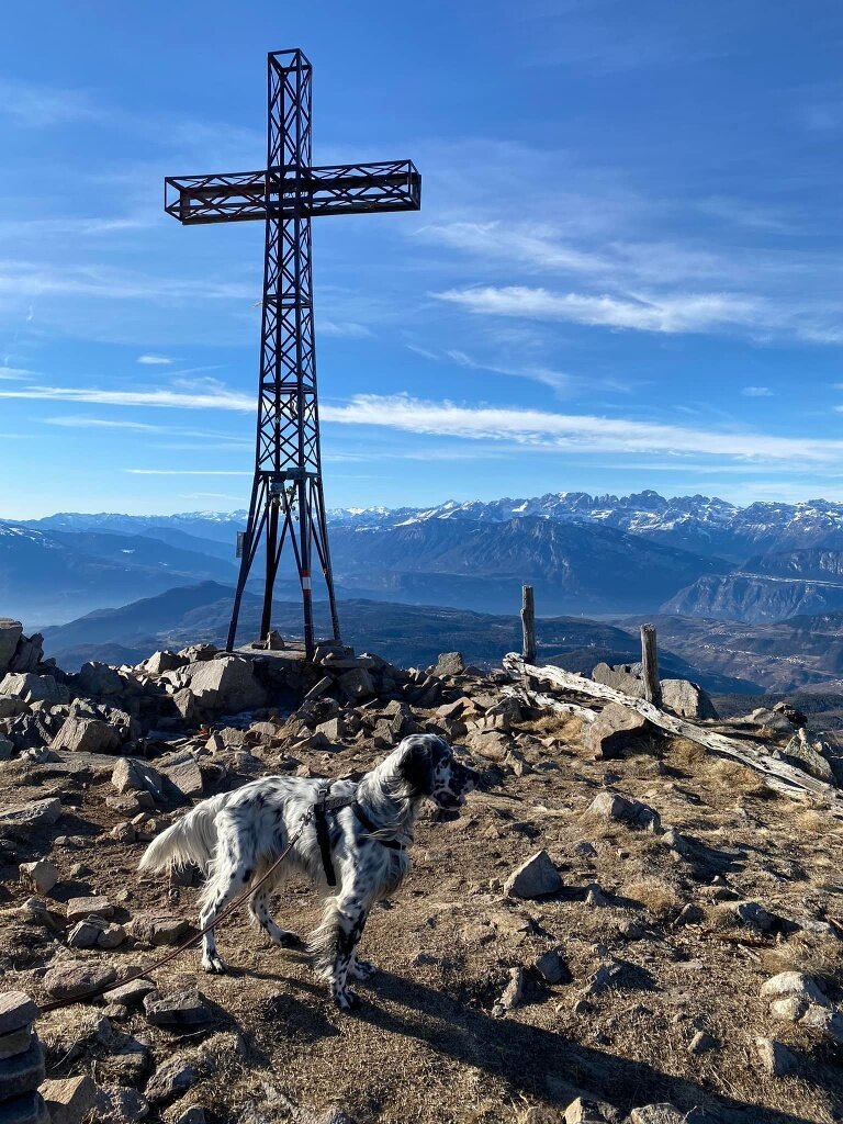 Img2 65161053 Default Variant