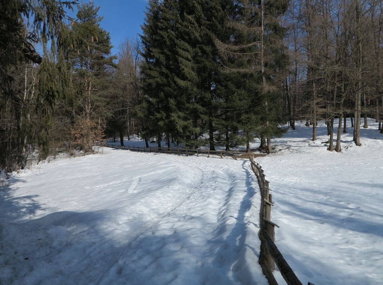 Img2 56619599 Default Variant