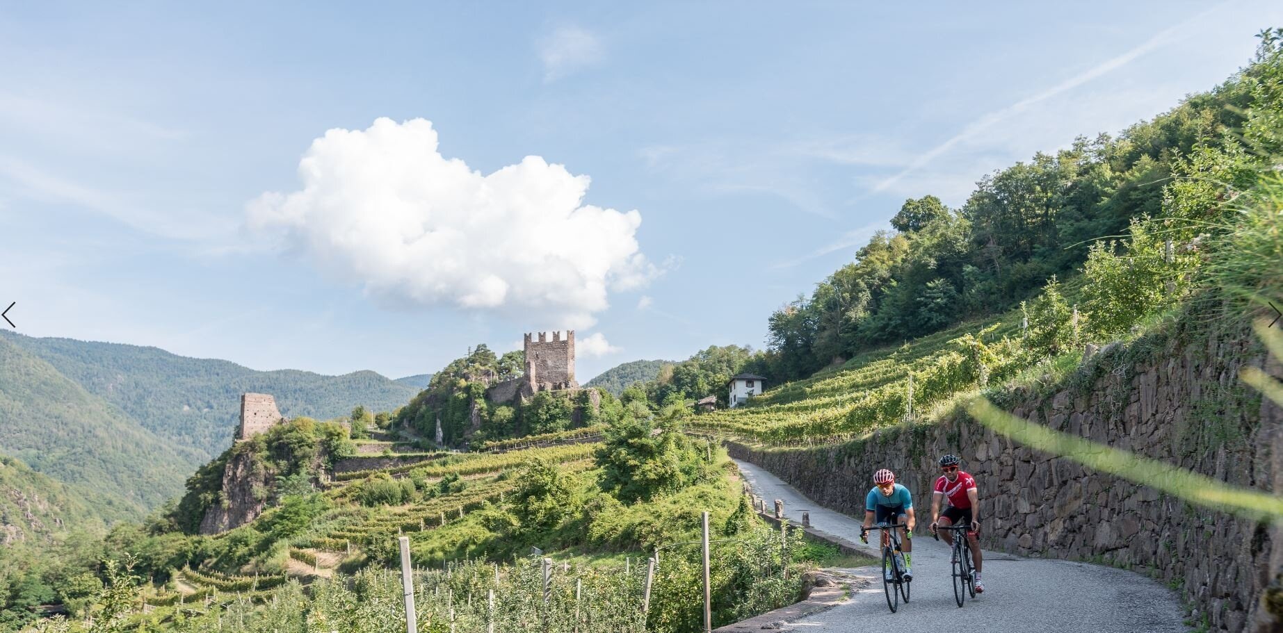 Img2 58097213 Default Variant