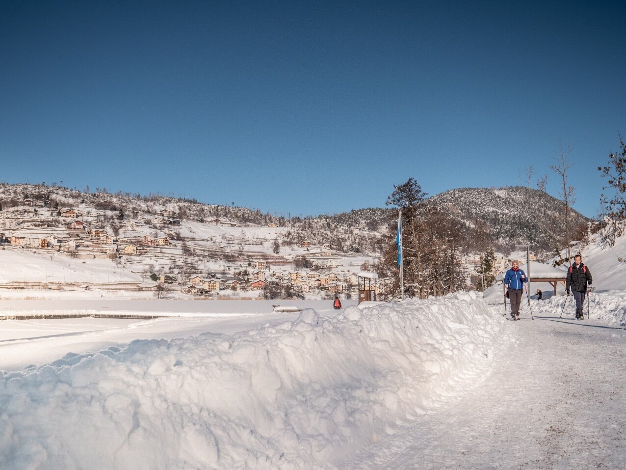 Img2 65036610 Default Variant