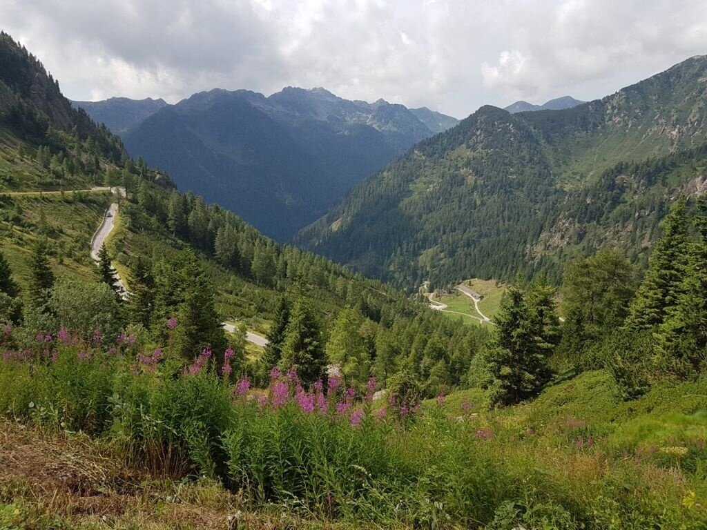 Img2 58097549 Default Variant