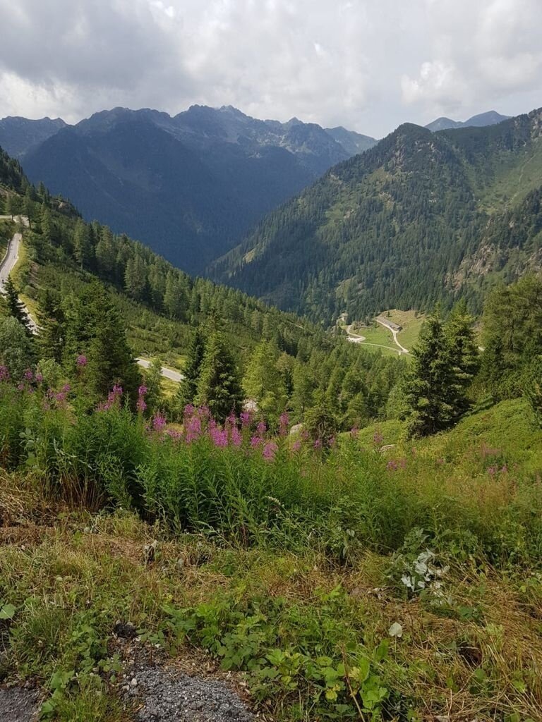 Img2 58097550 Default Variant