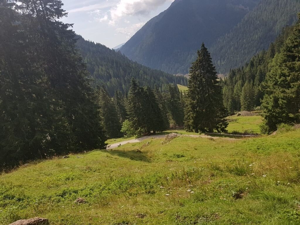 Img2 58097551 Default Variant