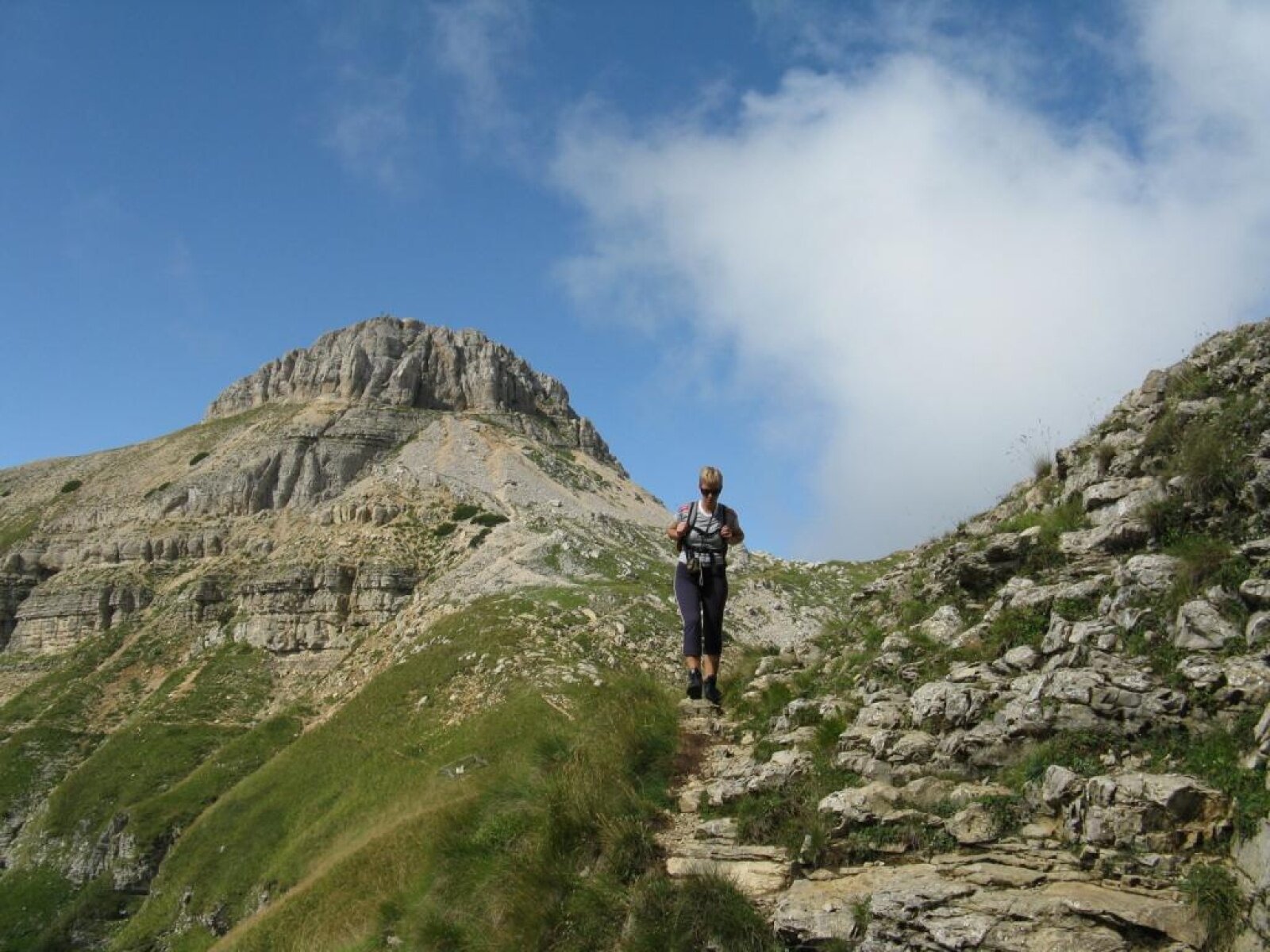 Img2 1994892 Default Variant