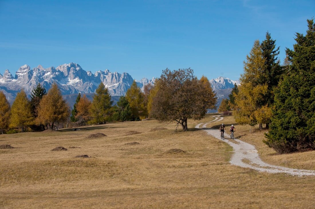 Img2 16881065 Default Variant