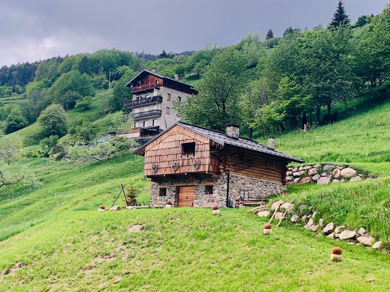 Img2 57416610 Default Variant