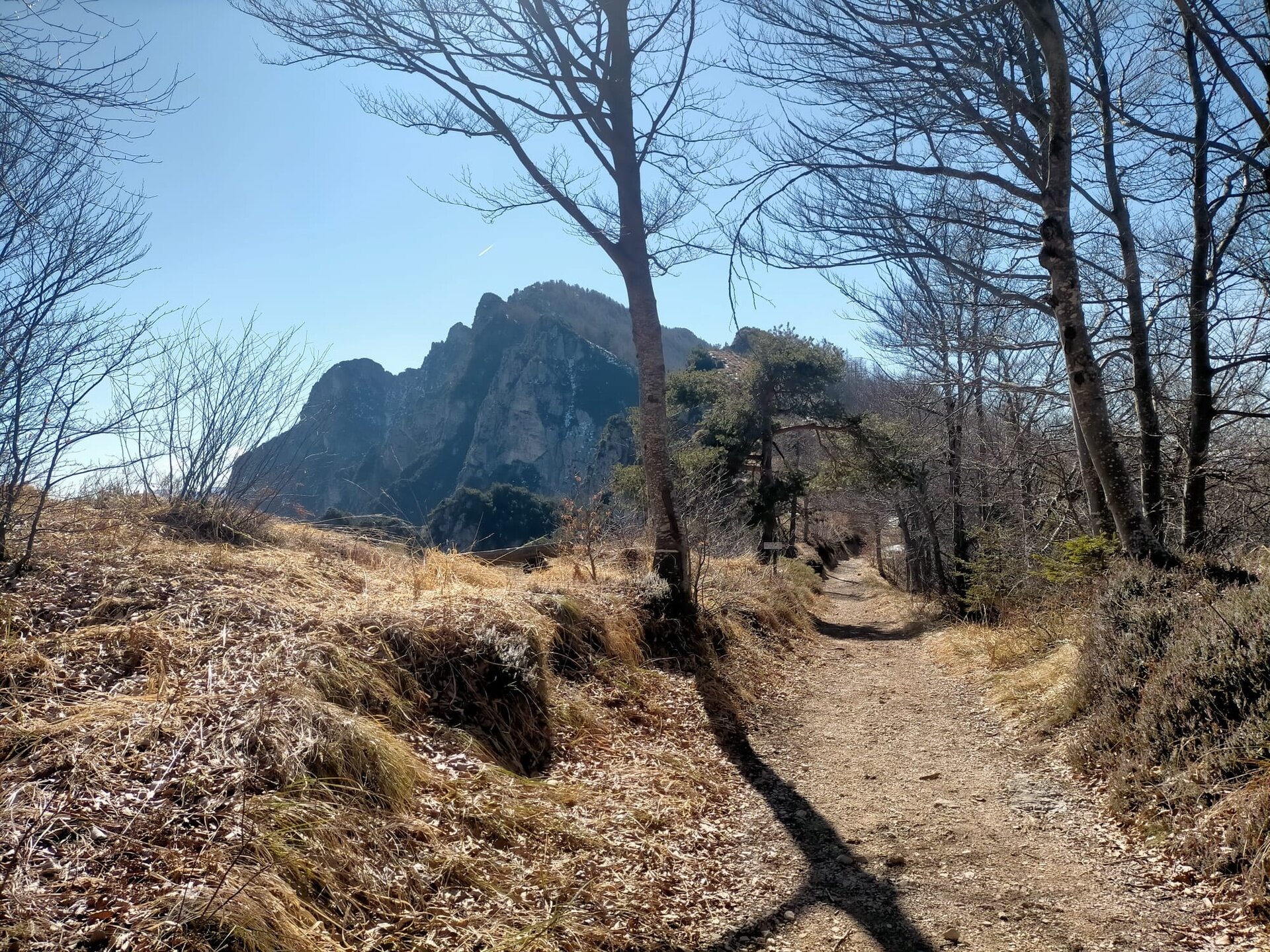 Img2 610436596 Default Variant