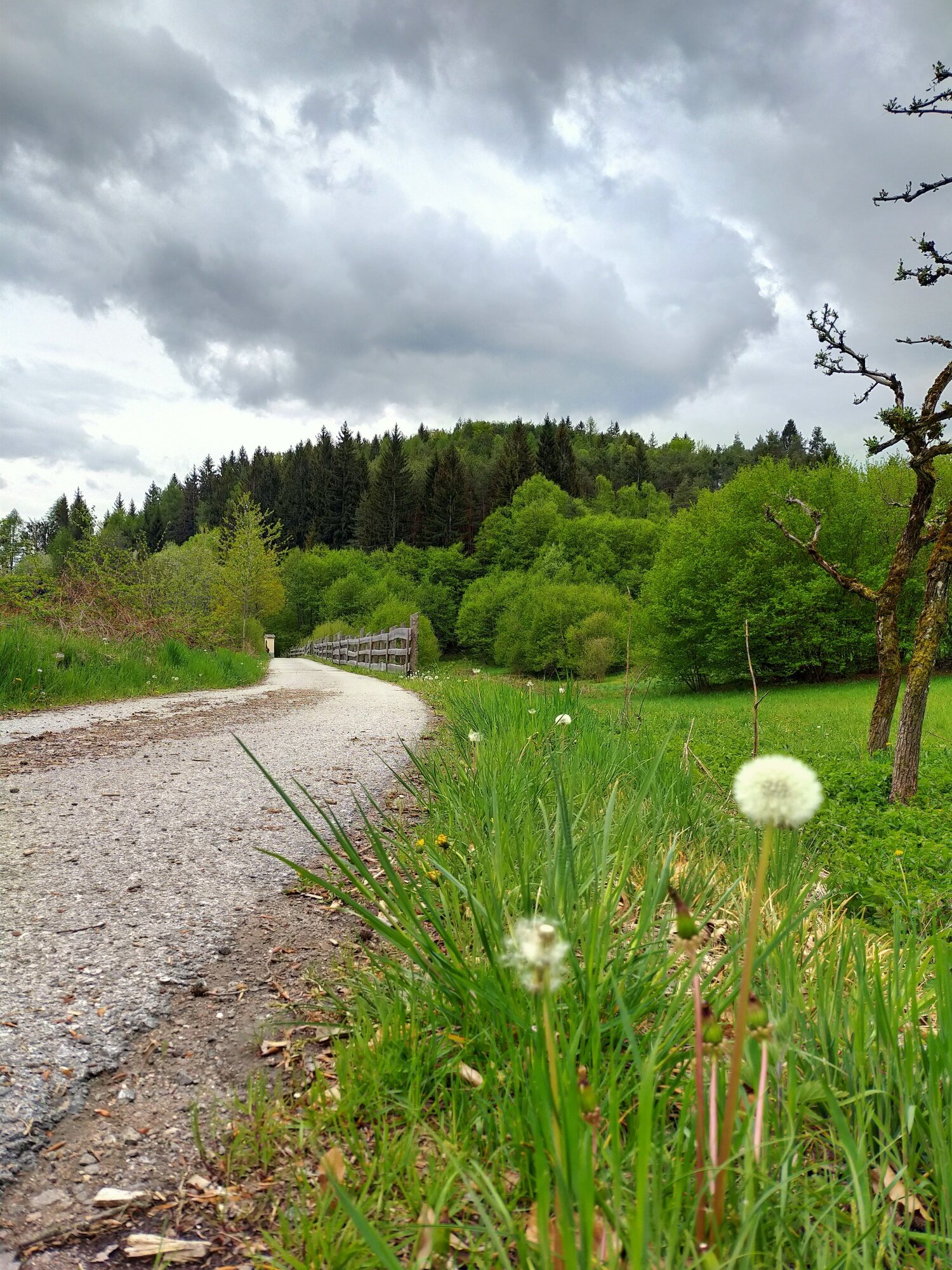 Img2 52672881 Default Variant