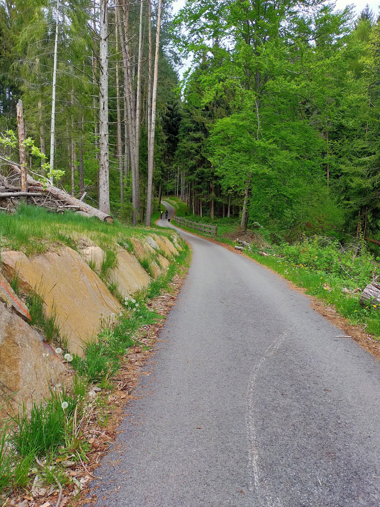 Img2 52672884 Default Variant