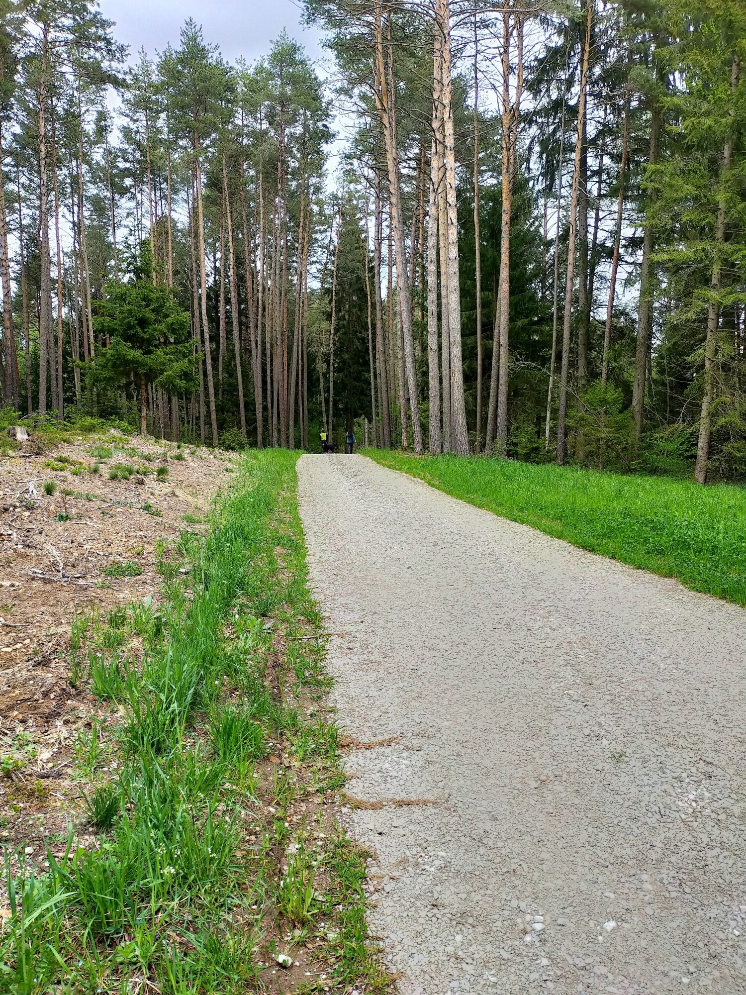 Img2 52672886 Default Variant