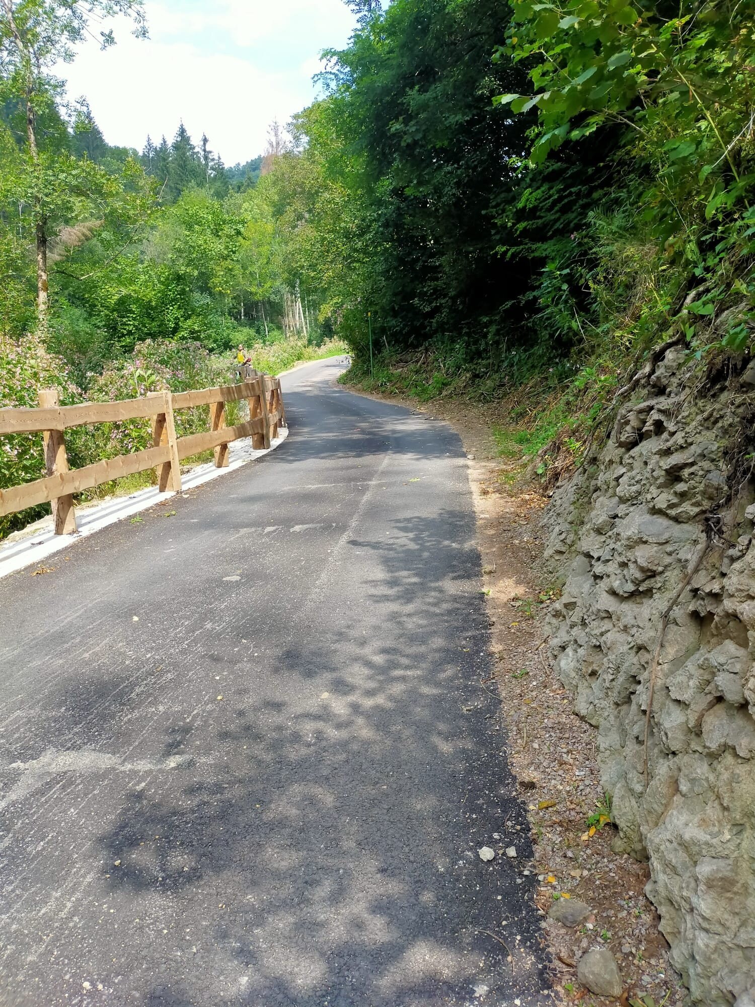 Img2 52778570 Default Variant