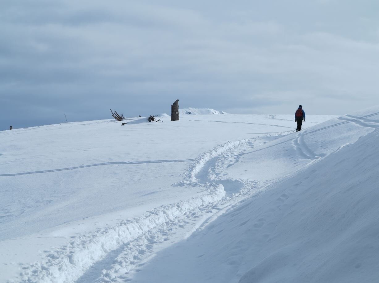 Img2 56418683 Default Variant