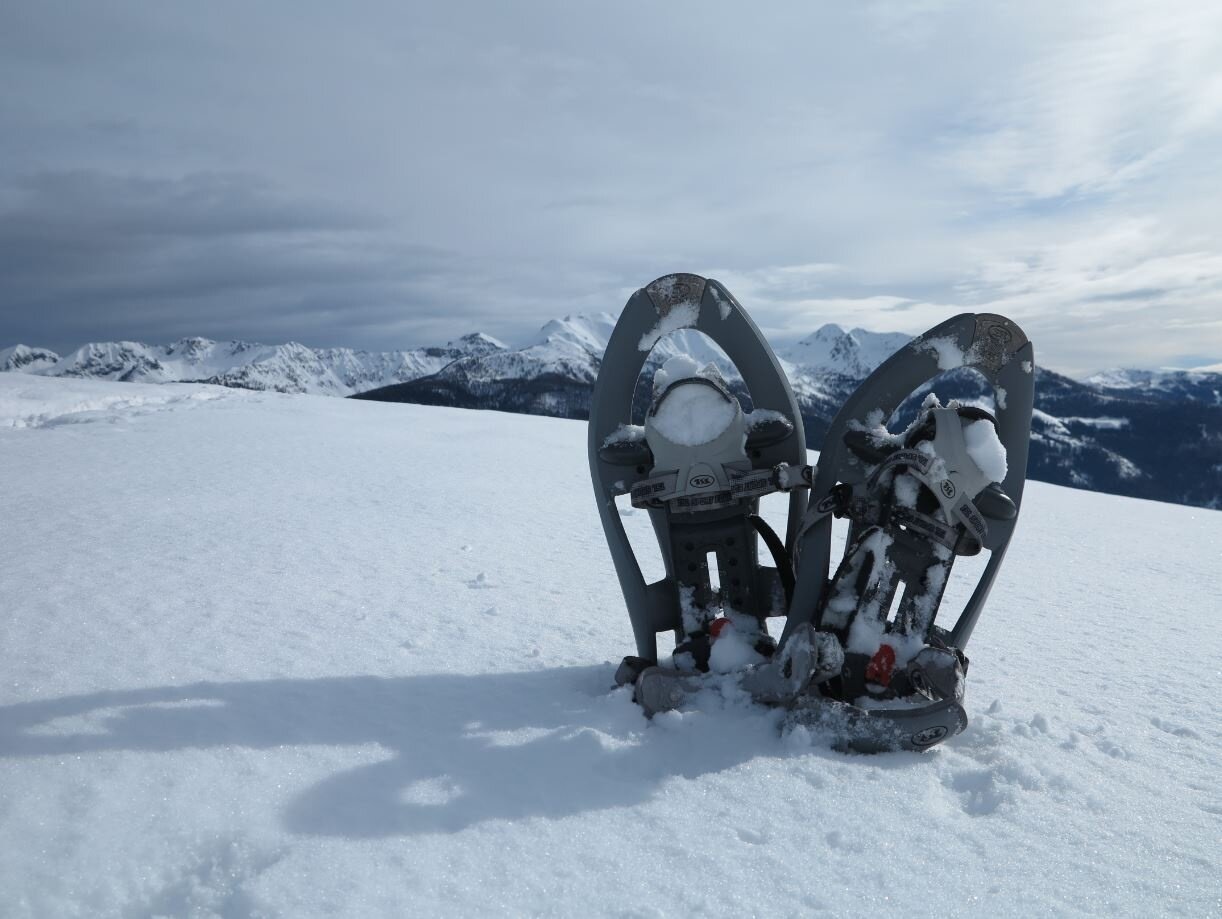 Img2 56418685 Default Variant