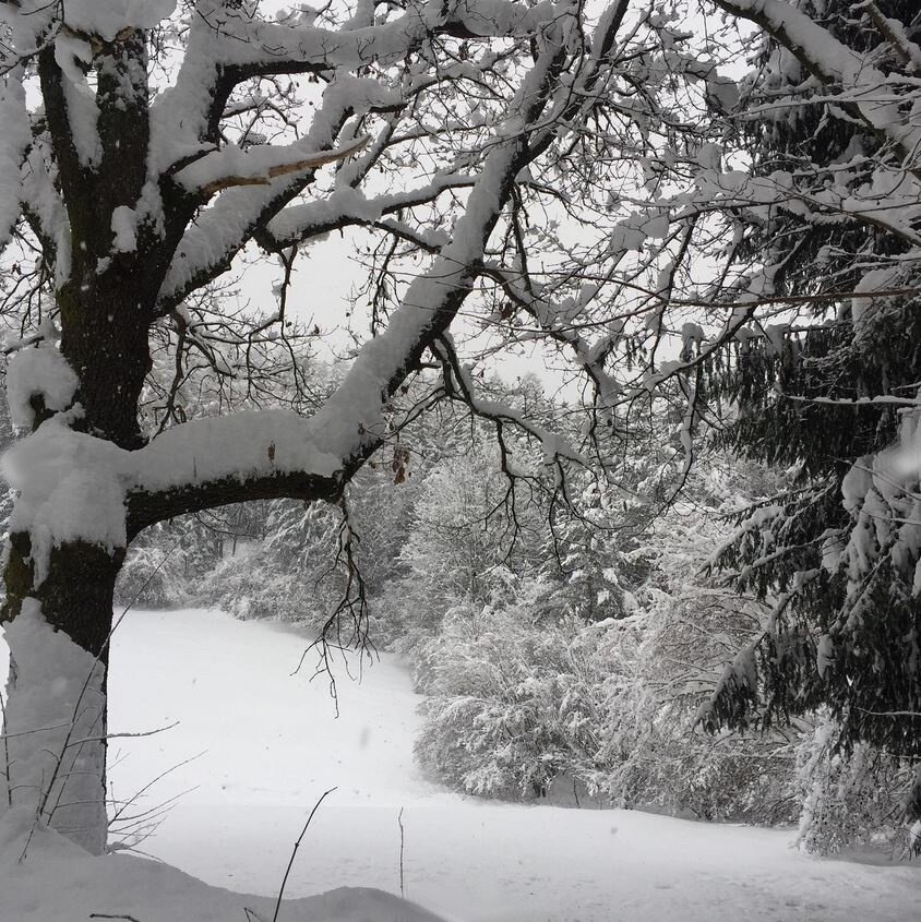 Img2 65033528 Default Variant