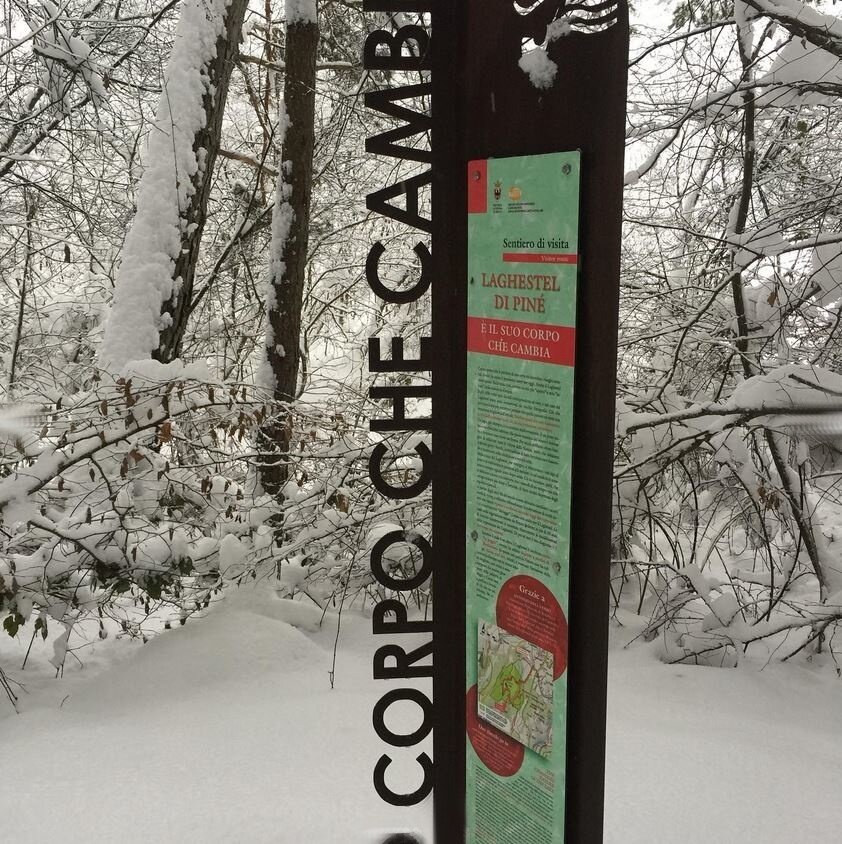 Img2 65033529 Default Variant