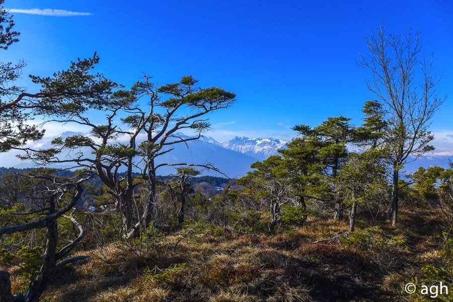 Img2 602143687 Default Variant