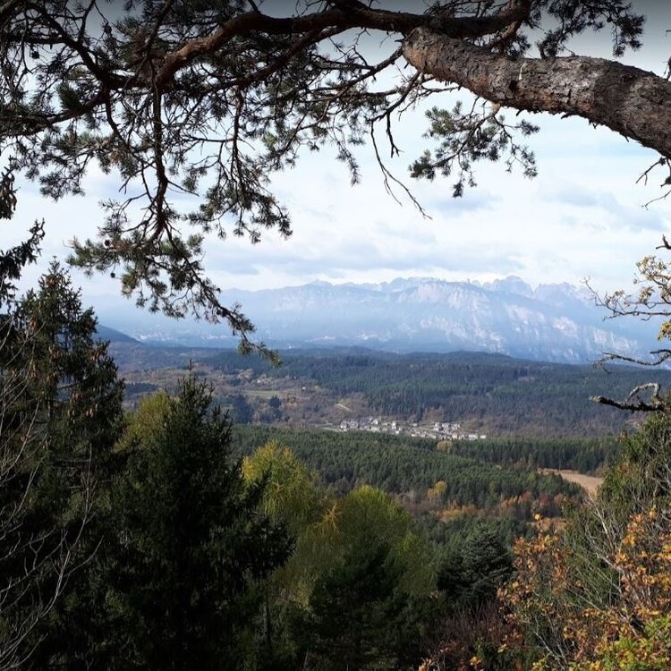 Spaziergang Zum Aussichtspunkt Dos De La Mot Ab Ort Poggio Dei Pini BAS