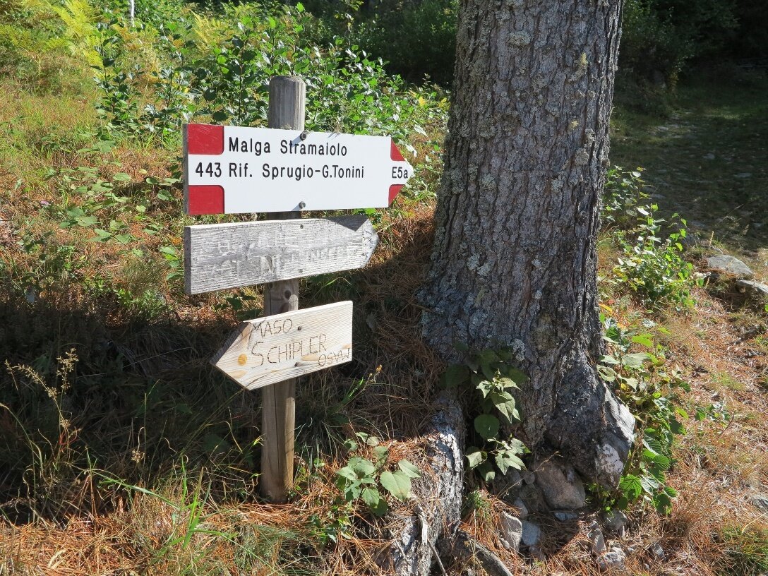 Img2 53967422 Default Variant