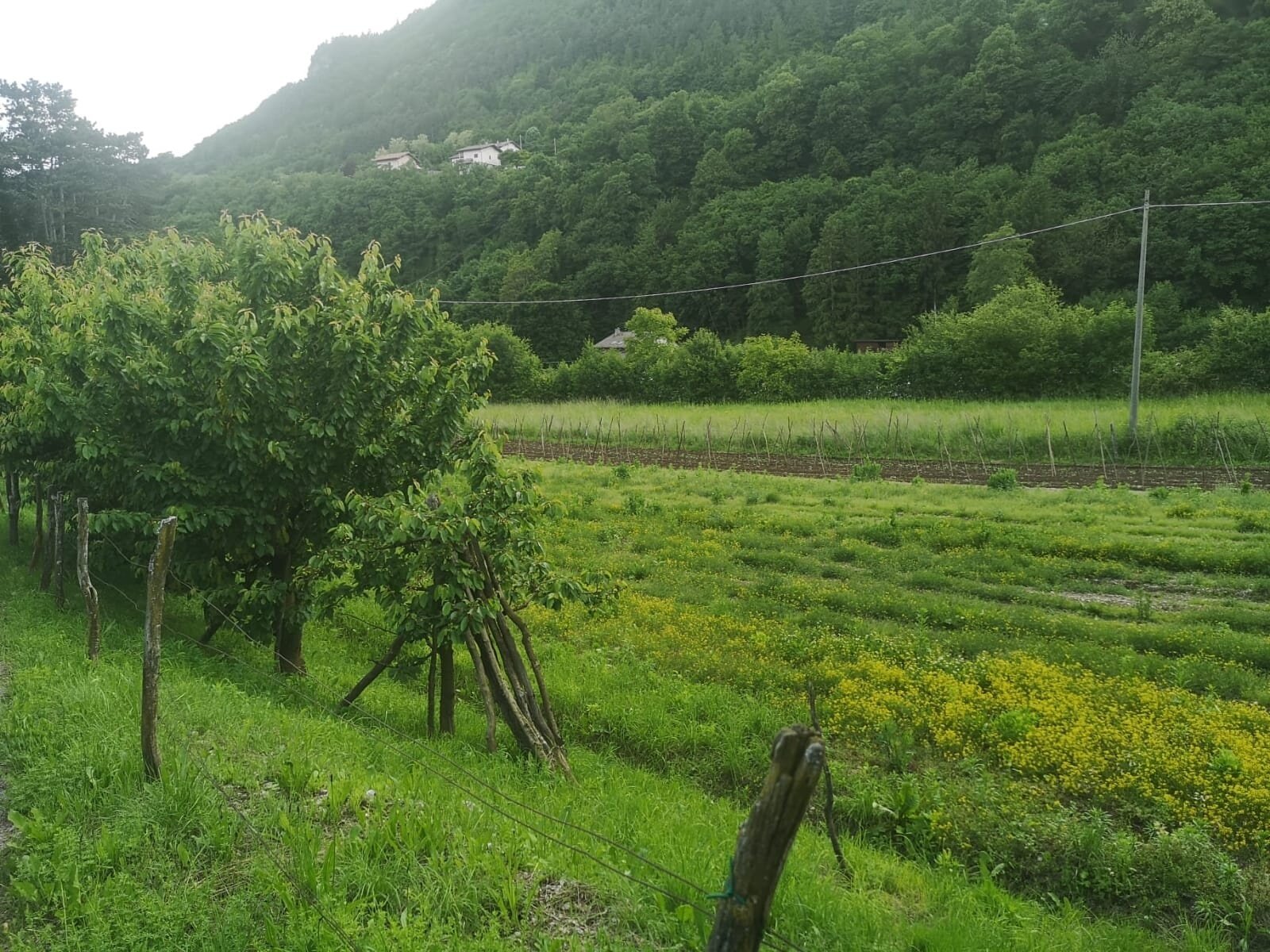 Img2 602111629 Default Variant