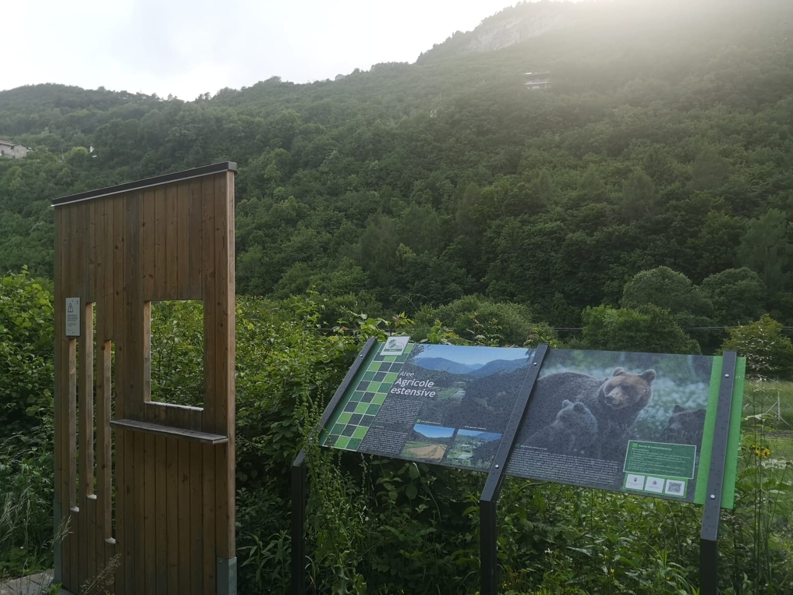 Img2 602111545 Default Variant