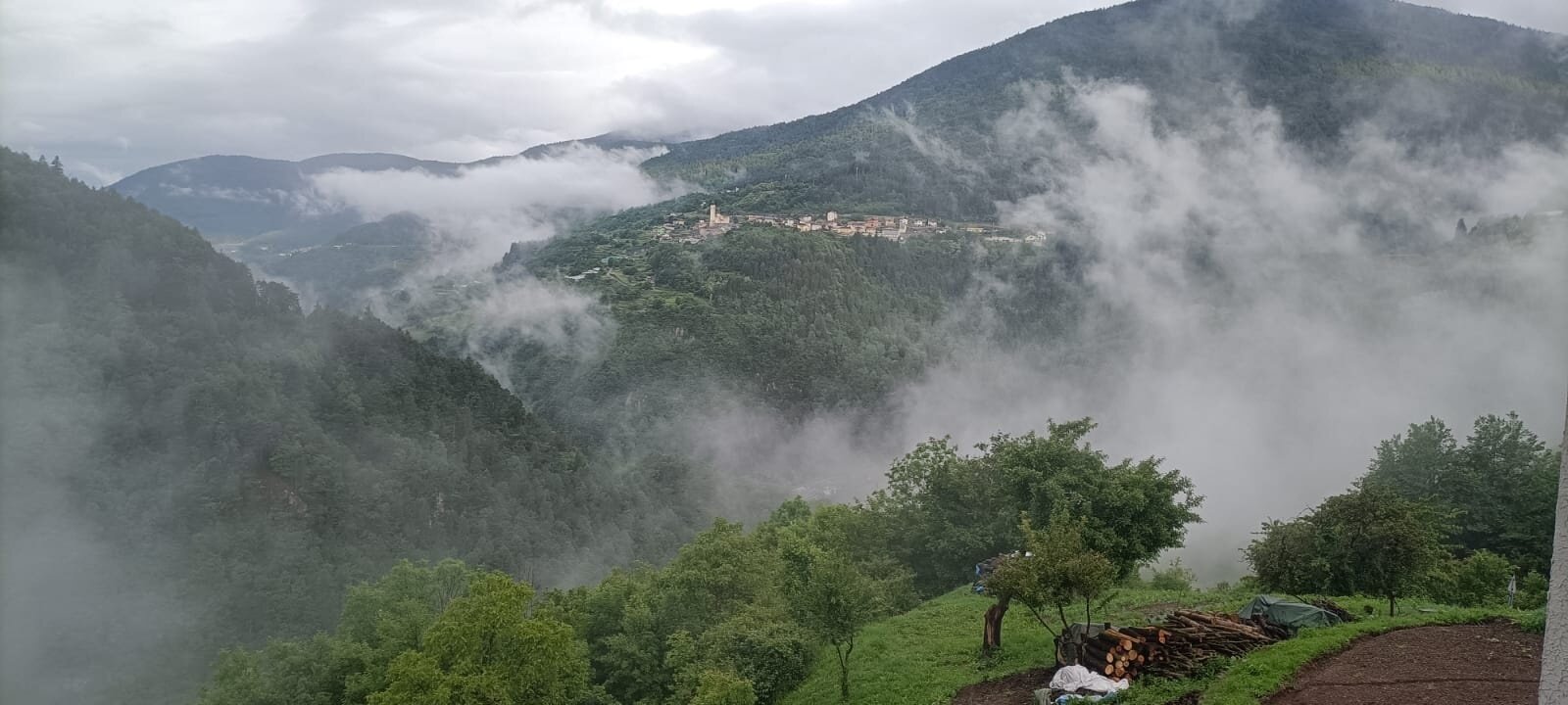 Img2 602111549 Default Variant