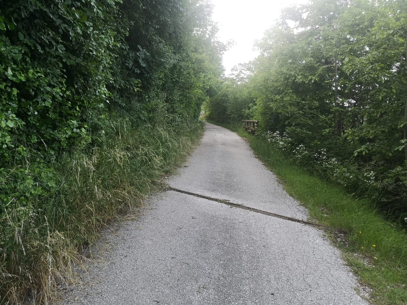 Img2 602111555 Default Variant